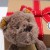 Bear Cub Baby Gift Hamper